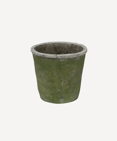 Evergreen Plant Pot Medium